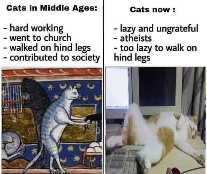 Cats used to be productive members of society, now they're just lazy atheists who can't even stand up.