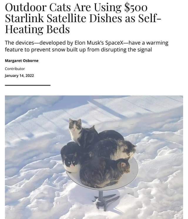 Cats finding a way to hack the system by using $500 Starlink dishes as heated beds.