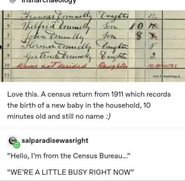 When the census taker shows up 10 minutes after you give birth and you still haven't named the baby lol