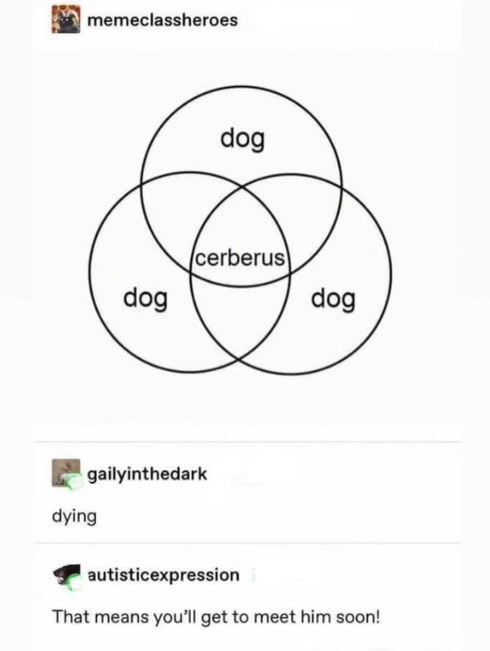 When you're dying and your friend points out Cerberus is a dog gatekeeper to the underworld