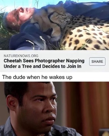 When your nap buddy turns out to be a predator
