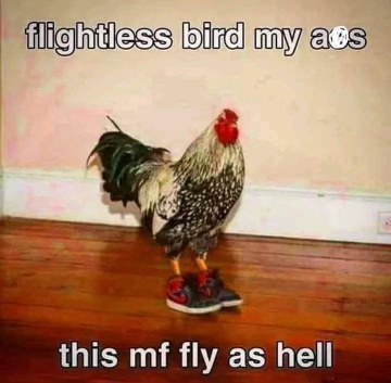 Yo, this chicken is dressed better than I am. Flightless bird, but still fly as hell.