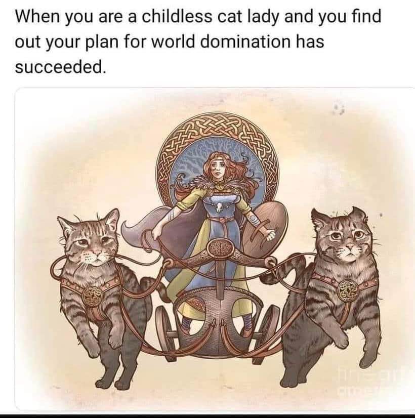 This is what happens when my cat overlords finally conquer the world