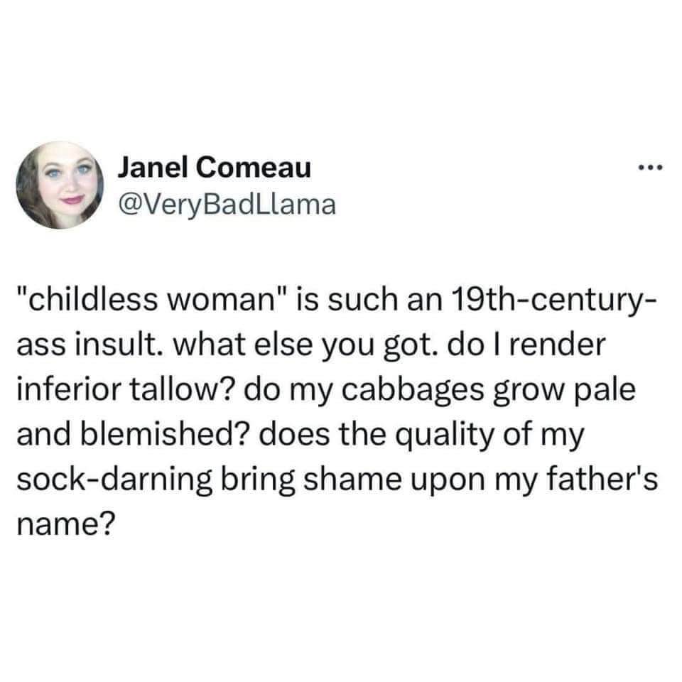 Someone's mad the insult 'childless woman' isn't cutting it anymore and wants to know if her tallow is inferior or if her sock darning is shameful.