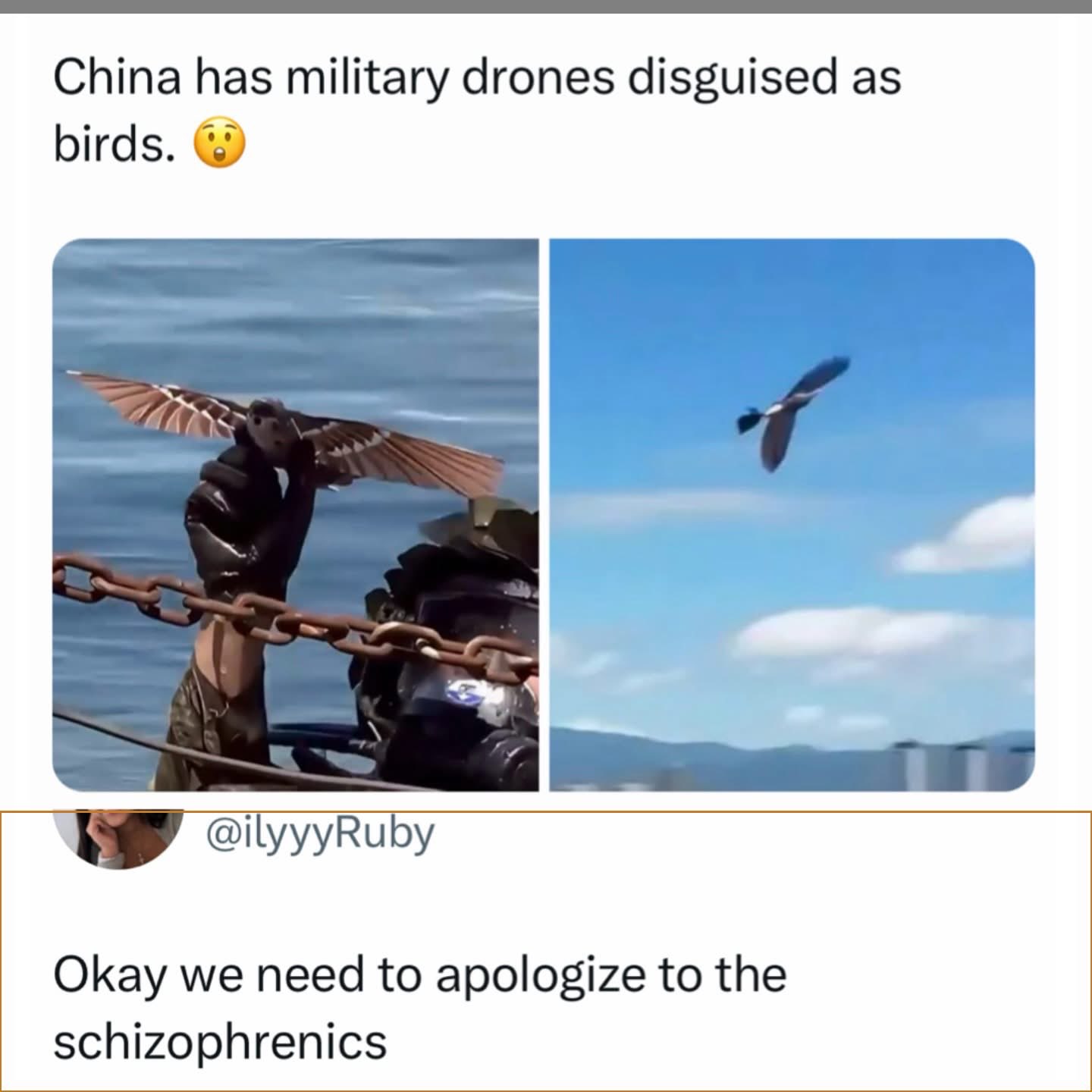 So apparently the conspiracy theory about birds being drones is actually true, we owe schizophrenics an apology lol