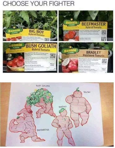 Choosing your fighter for the next Tekken game and it's just tomato varieties.