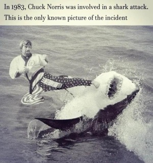 Chuck Norris just casually fighting a shark. Only picture of the incident from 1983.
