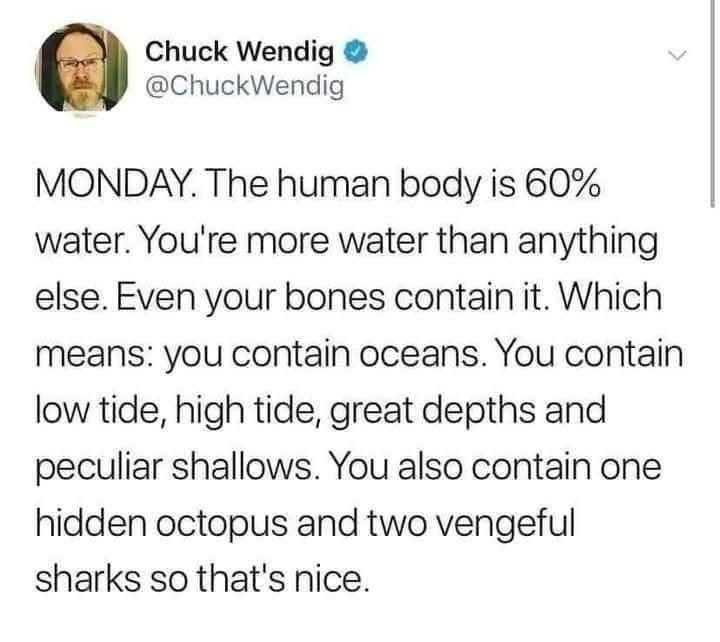 My body contains oceans, but also one hidden octopus and two vengeful sharks. Yay Monday.