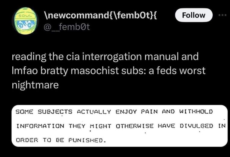 When the CIA interrogation manual accidentally explains why submissives are the way they are