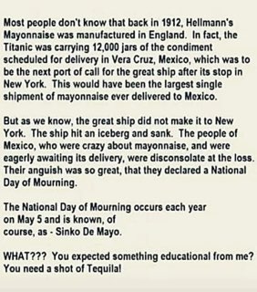 So apparently Cinco de Mayo is just a national day of mourning for mayonnaise that sank on the Titanic. My whole life is a lie.