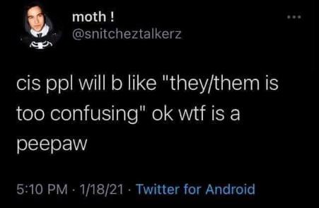 Lol who finds they/them confusing but understands the concept of a peepaw?