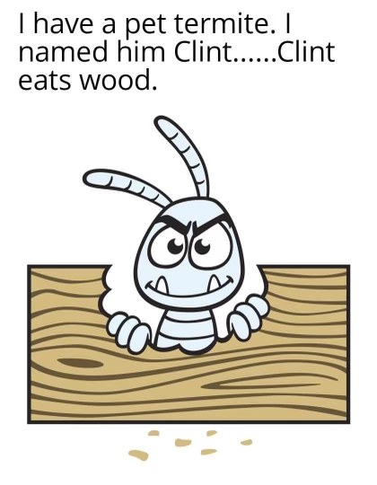 OMG this termite named Clint literally eats wood, get it?