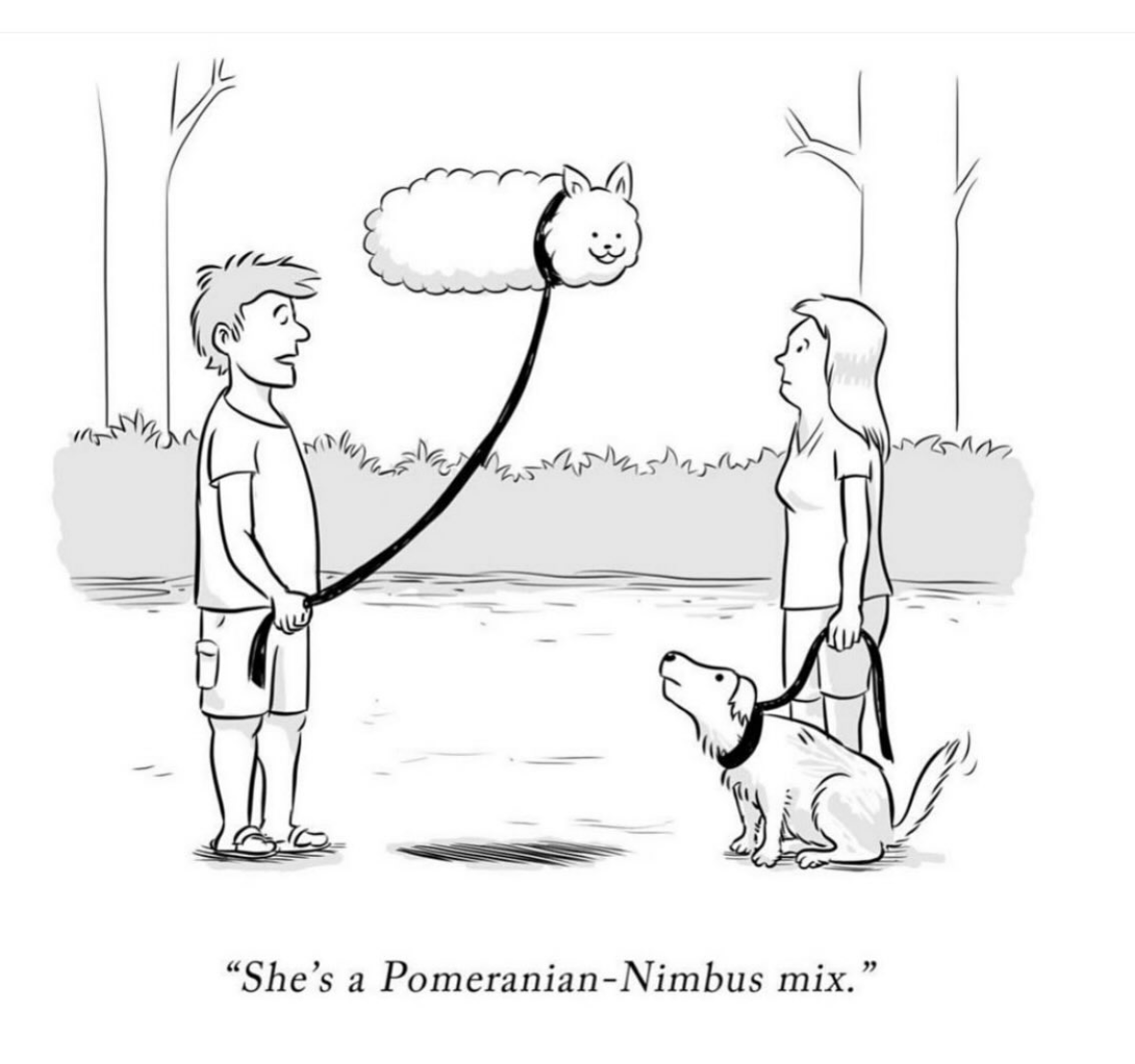 When you want a unique pet so you get a cloud dog lol