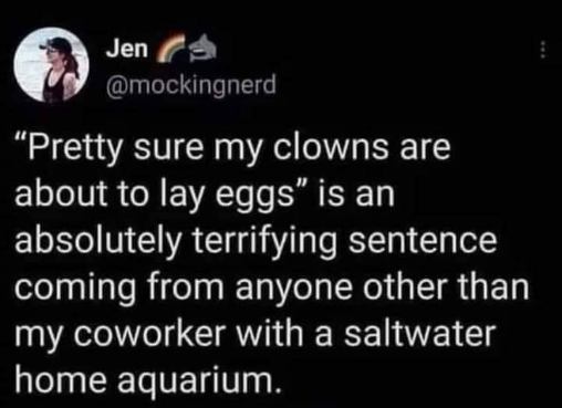 My coworker said their clowns are about to lay eggs and my brain immediately went to creepy clowns, not fish.