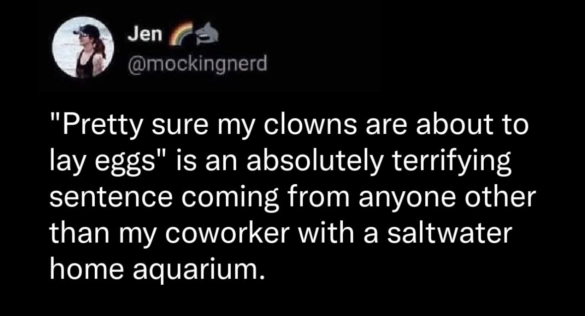 When your coworker's clownfish are about to lay eggs and it sounds like a horror movie plot