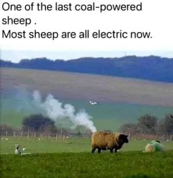 LMAO, they're saying this sheep is powered by coal and all the other sheep are electric now