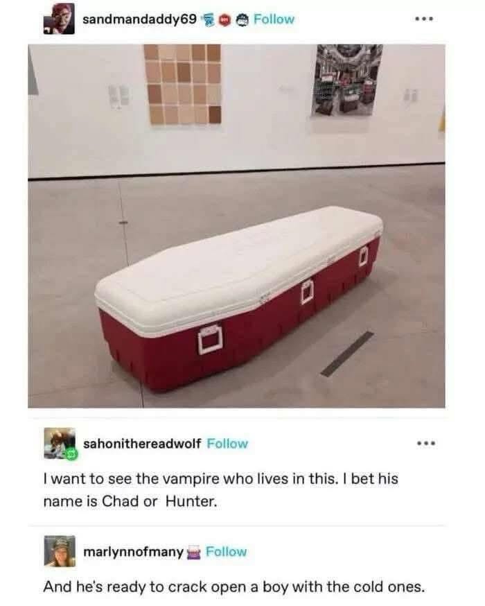 This cooler looks like a coffin for a vampire named Chad who wants to crack open a boy with the cold ones.