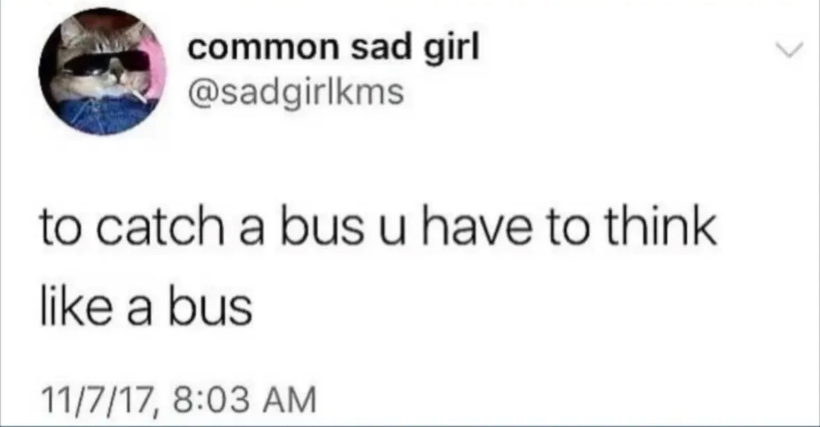 Trying to catch a bus requires a certain bus-like mindset, apparently