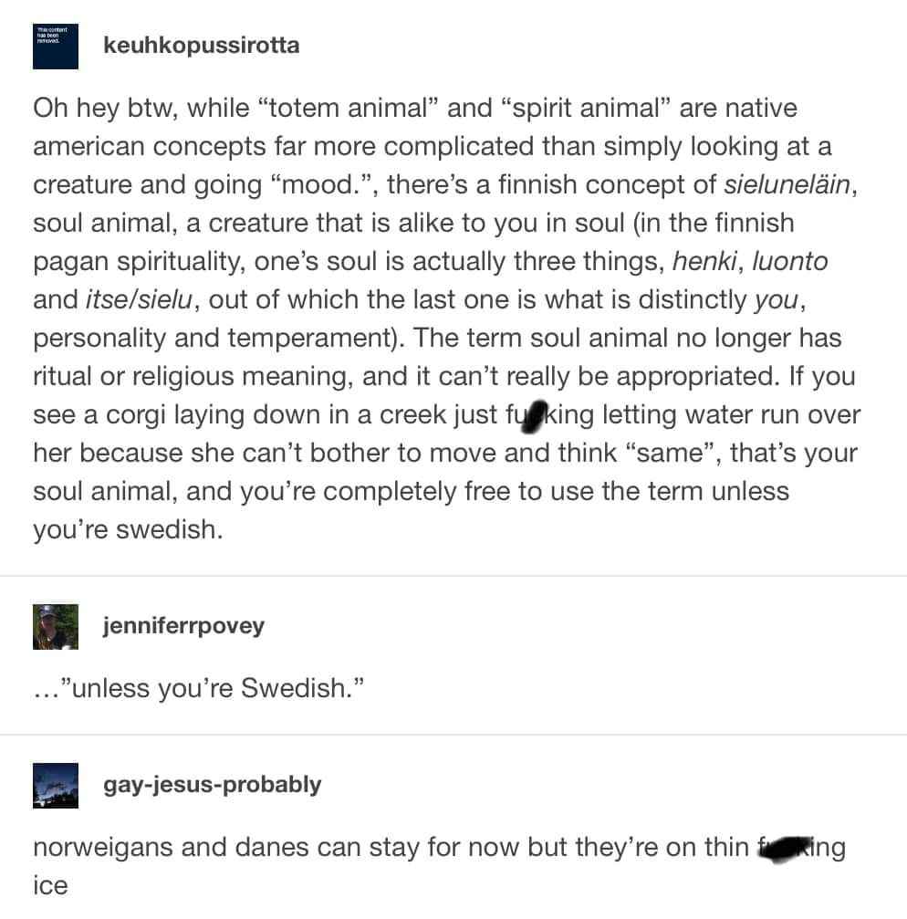 So apparently my soul animal is a corgi who can't be bothered. Also, Swedes aren't allowed to have soul animals. Lol.