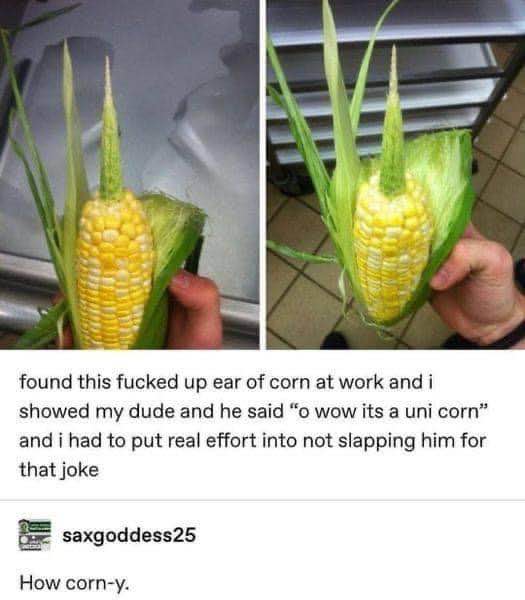 When you show someone a weird ear of corn and they make a pun so bad you actually have to stop yourself from reacting