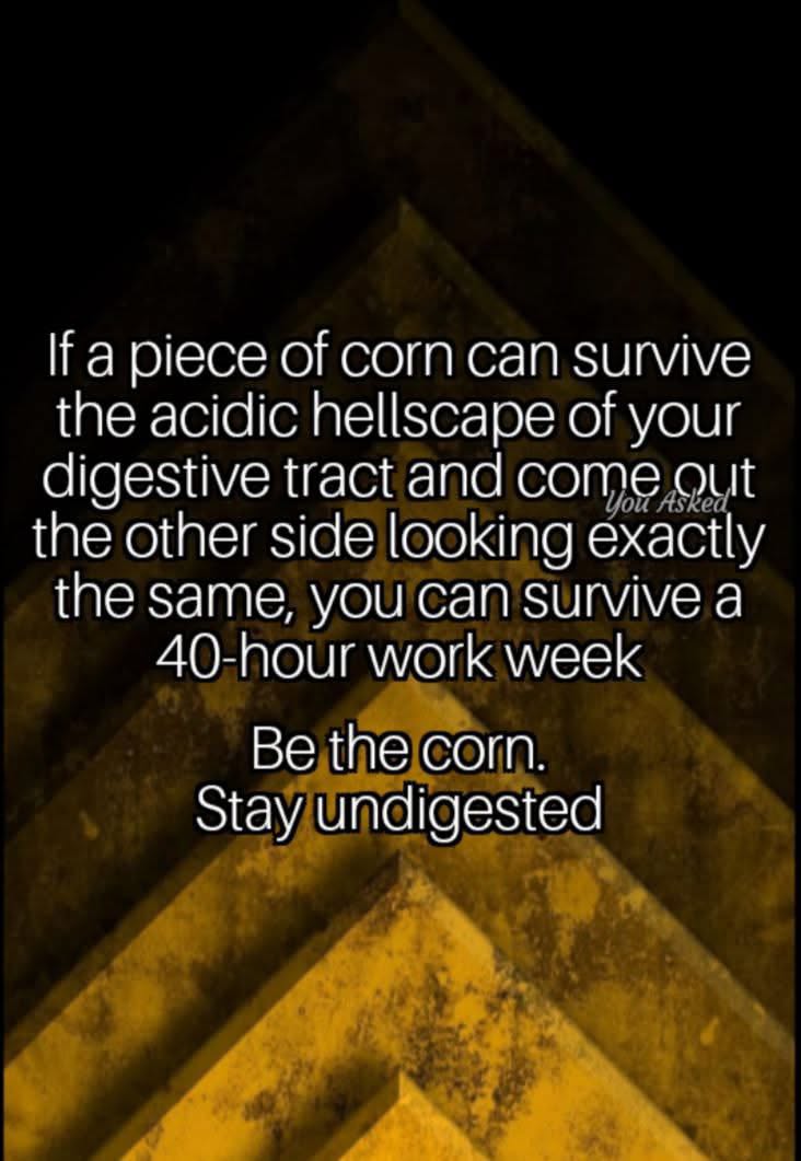 Basically, just be corn. Survive your work week like a boss.