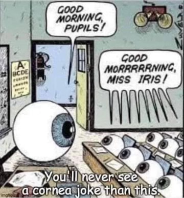 When you try to tell a pun but it's too cornea