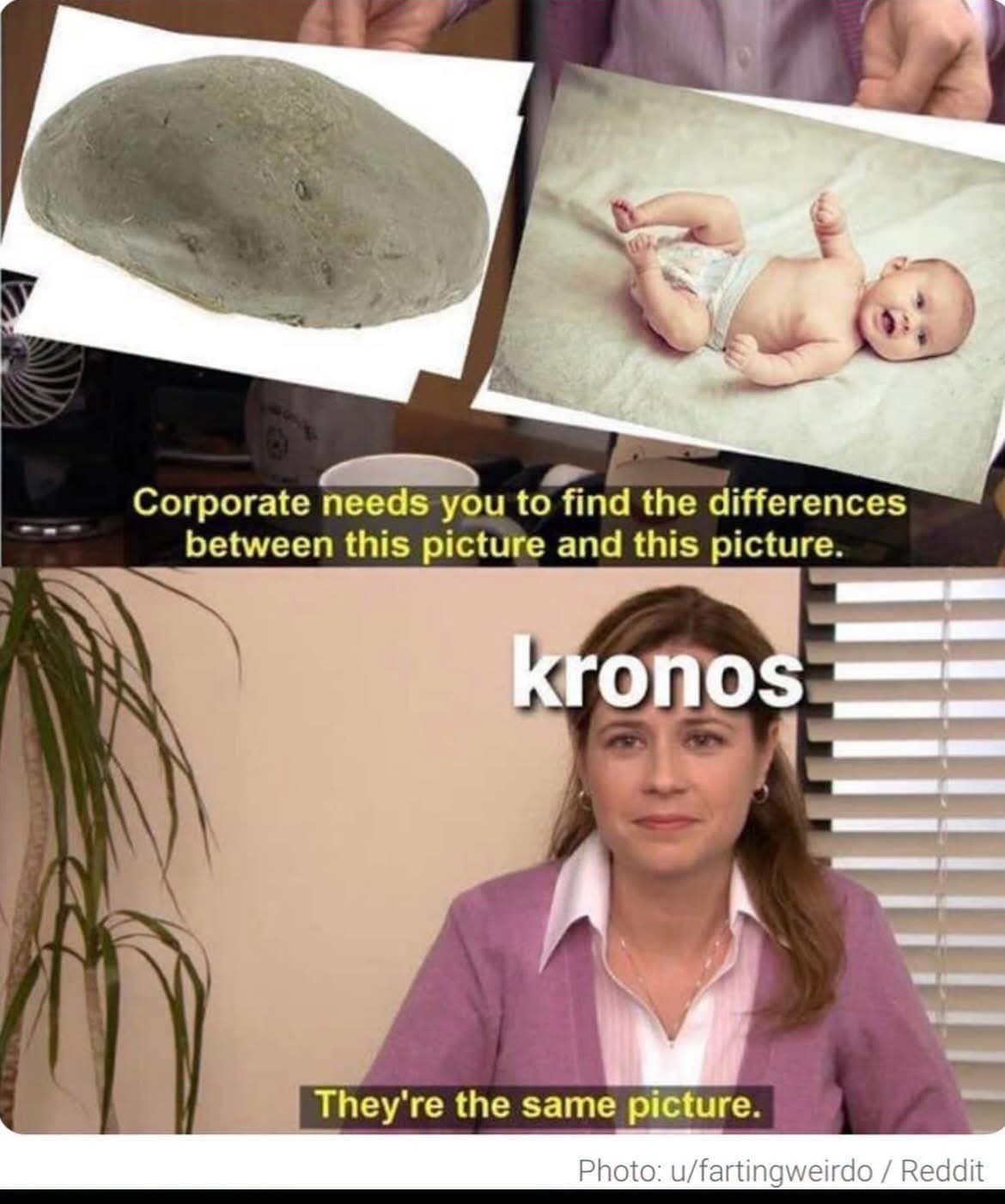 Little do they know, one is a baby and the other is a rock