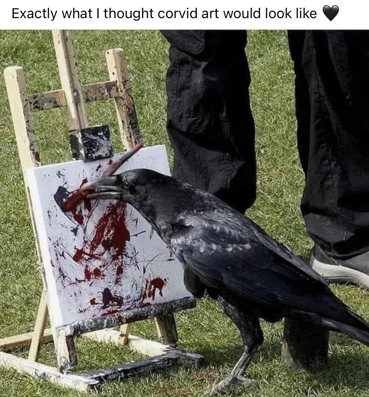 When you're trying to make 'corvid art' but just end up making a mess.