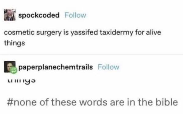 When you realize cosmetic surgery is basically just taxidermy for living people. Wild.