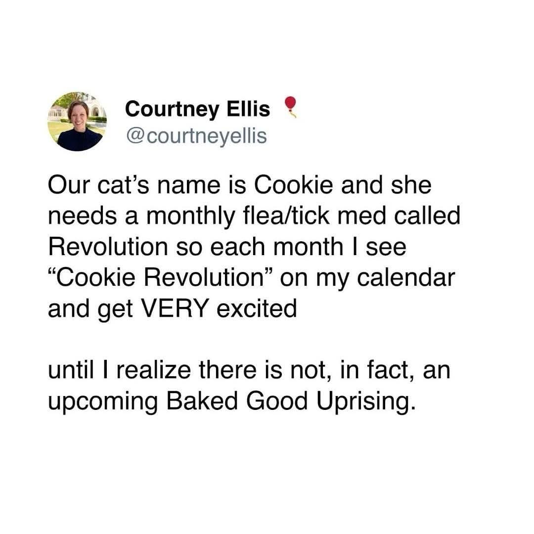 Me getting excited for a 'Cookie Revolution' every month, only to remember it's just flea meds for the cat.