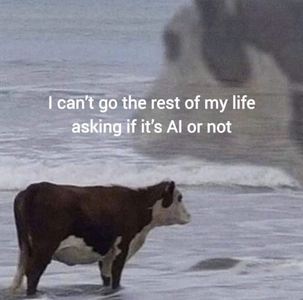 Me trying to figure out if this is a real cow or AI.