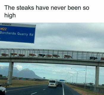 Guess the steaks are literally super high up on this overpass.