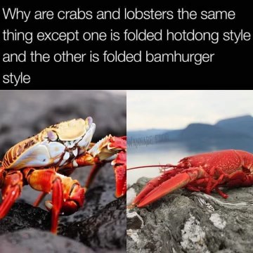 Lol, someone really compared crabs and lobsters to hotdog and hamburger folds. Big if true.