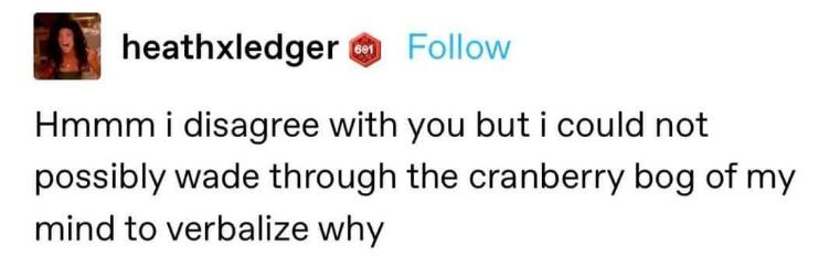 Me trying to explain why I disagree but my brain is just a cranberry bog