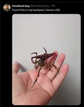 Totally normal backyard find, don't worry about it.