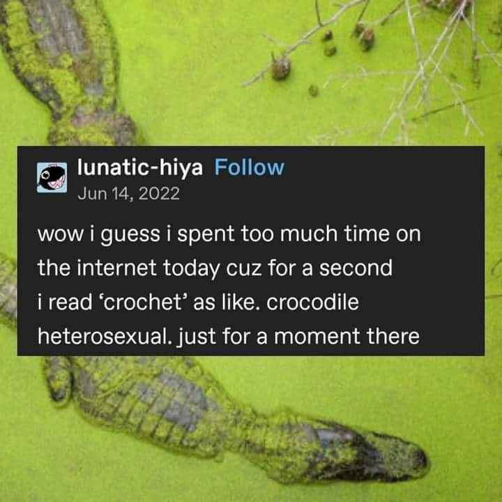When you spend too much time online and misread 'crochet' as 'crocodile heterosexual'