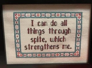 When your main motivation isn't success, it's just pure spite