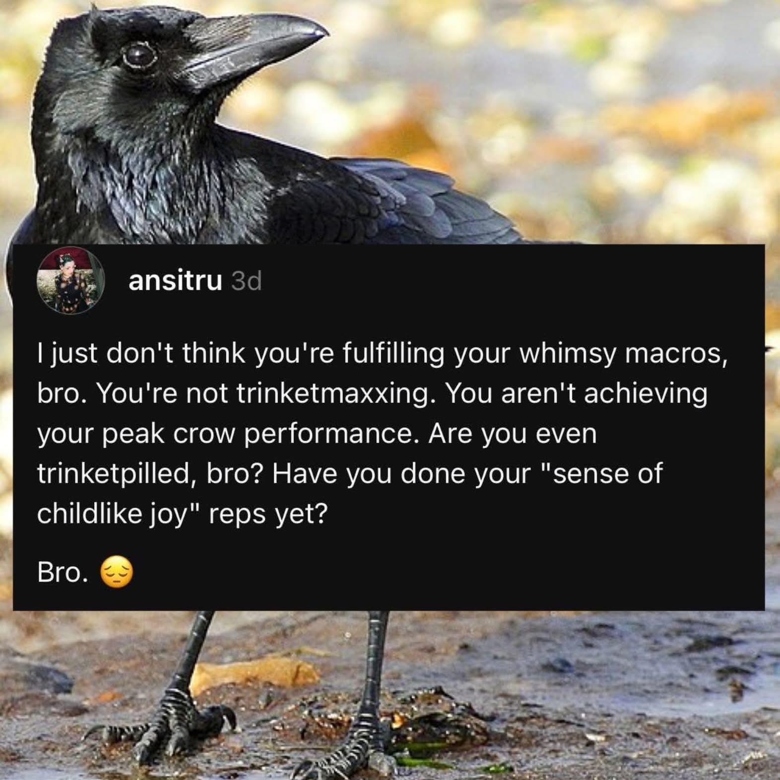 When your friend judges your life choices and compares them to their peak crow performance.
