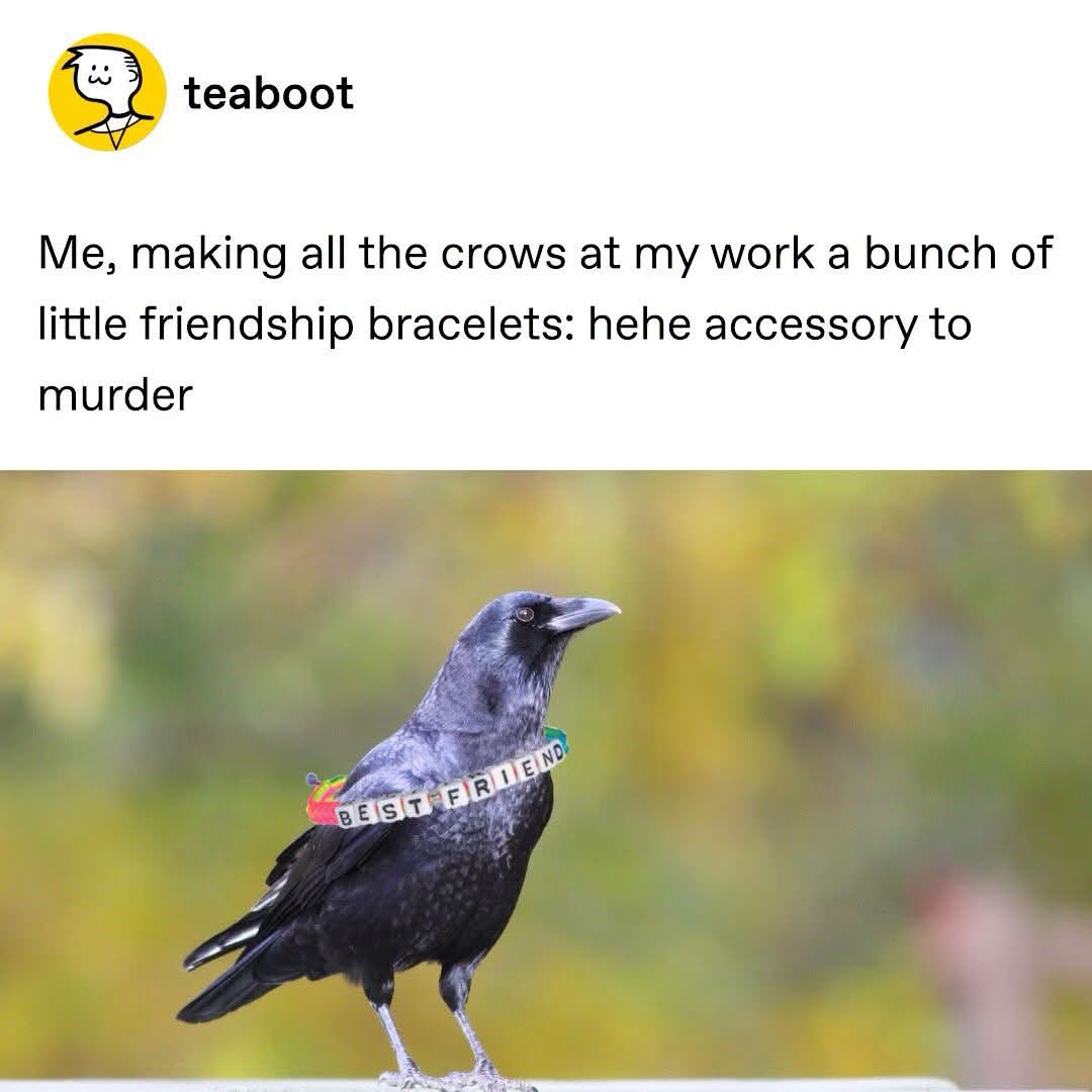 OMG the pun game is strong with this one, accessory to murder lol