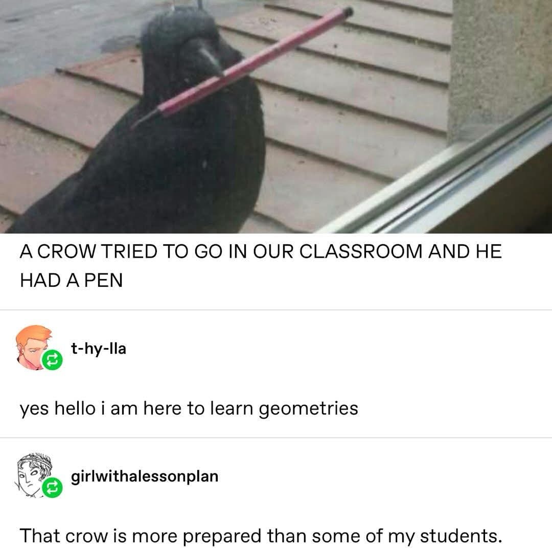 This crow is ready for class, pen in beak.  Guess he wants to learn some geometry.