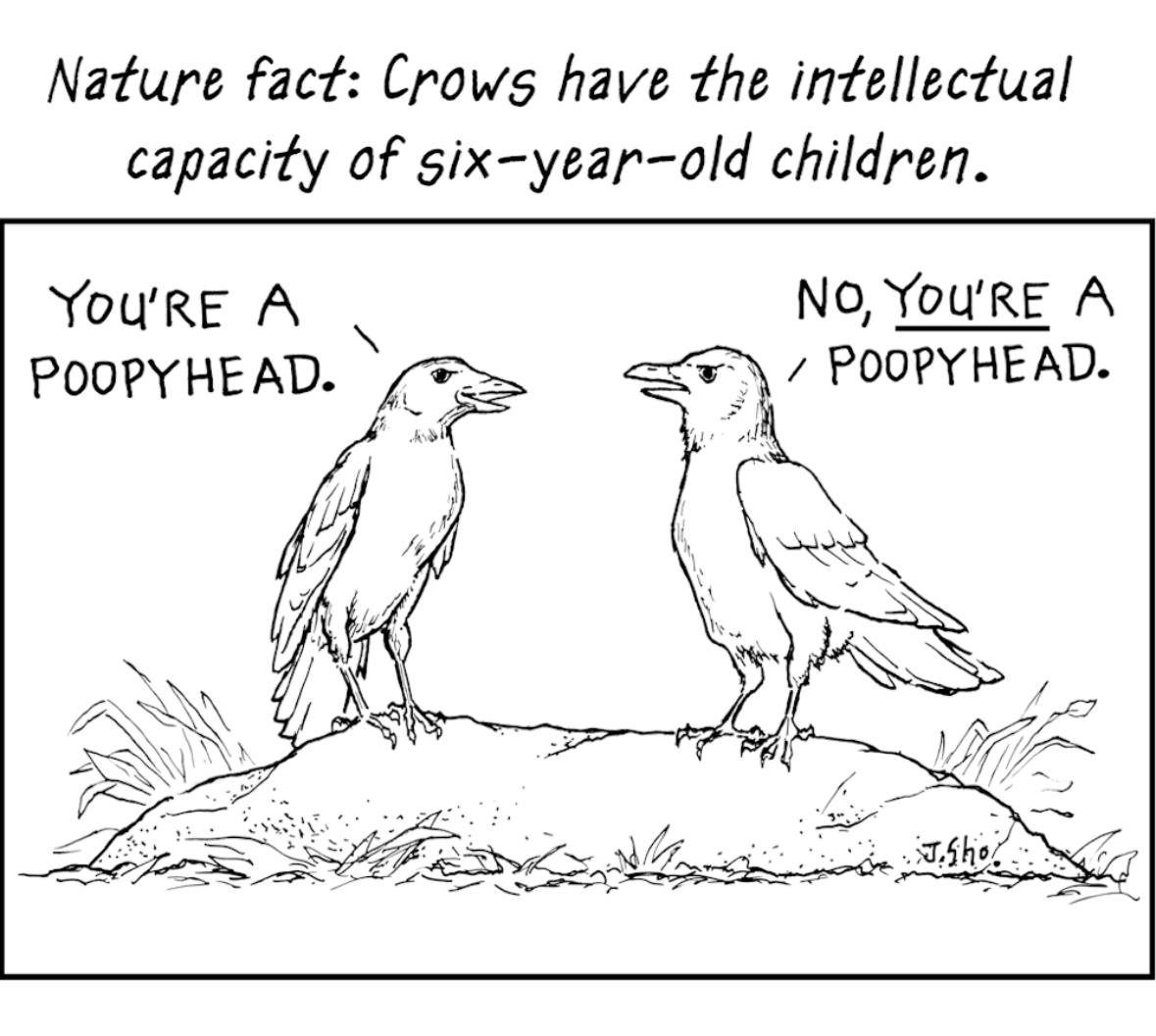 Pretty much sums up toddler arguments, but with crows.