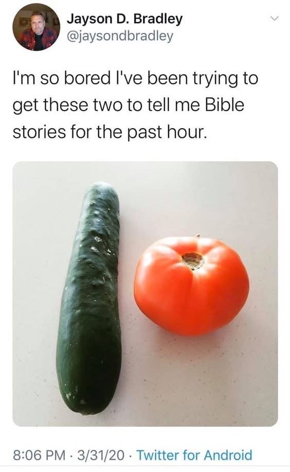 Dude is so bored he's trying to get a cucumber and tomato to tell him Bible stories.