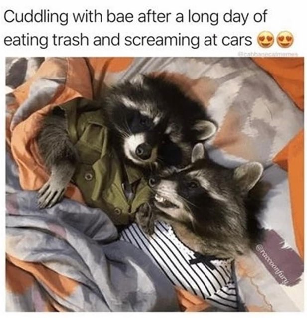 Me and my partner after a long day of committing petty crimes