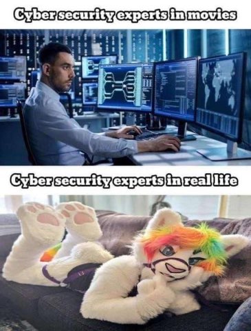When you think cybersecurity experts are all slick movie hackers but in reality they're just chillin' in fursuits
