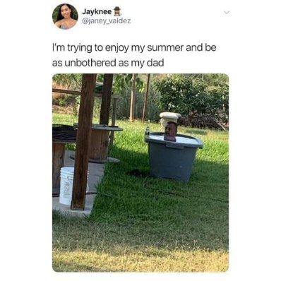 My dad chilling in a trash can in the yard is peak unbothered summer energy
