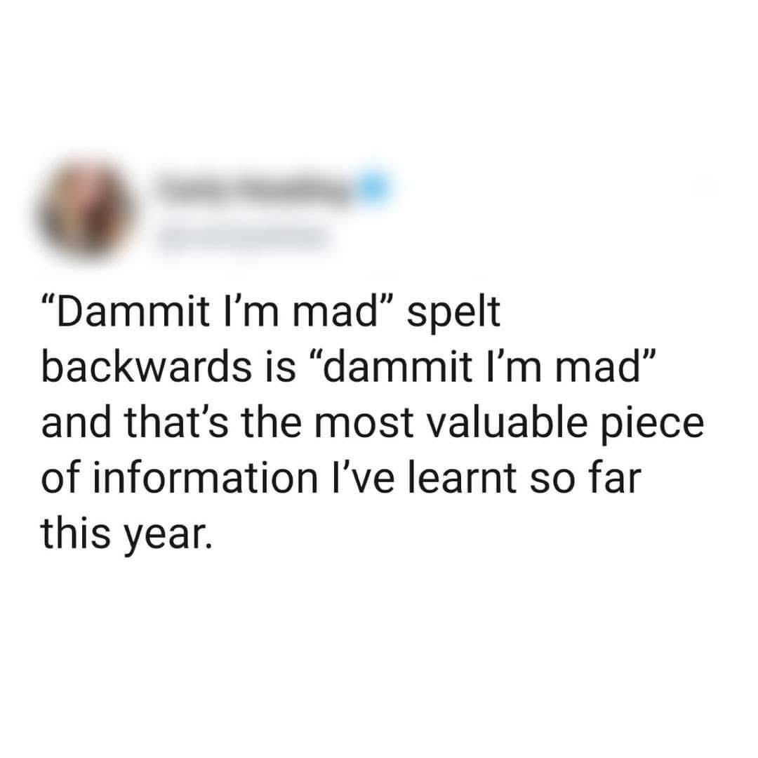 I mean, it's true though. This is the kind of profound wisdom I've absorbed this year.