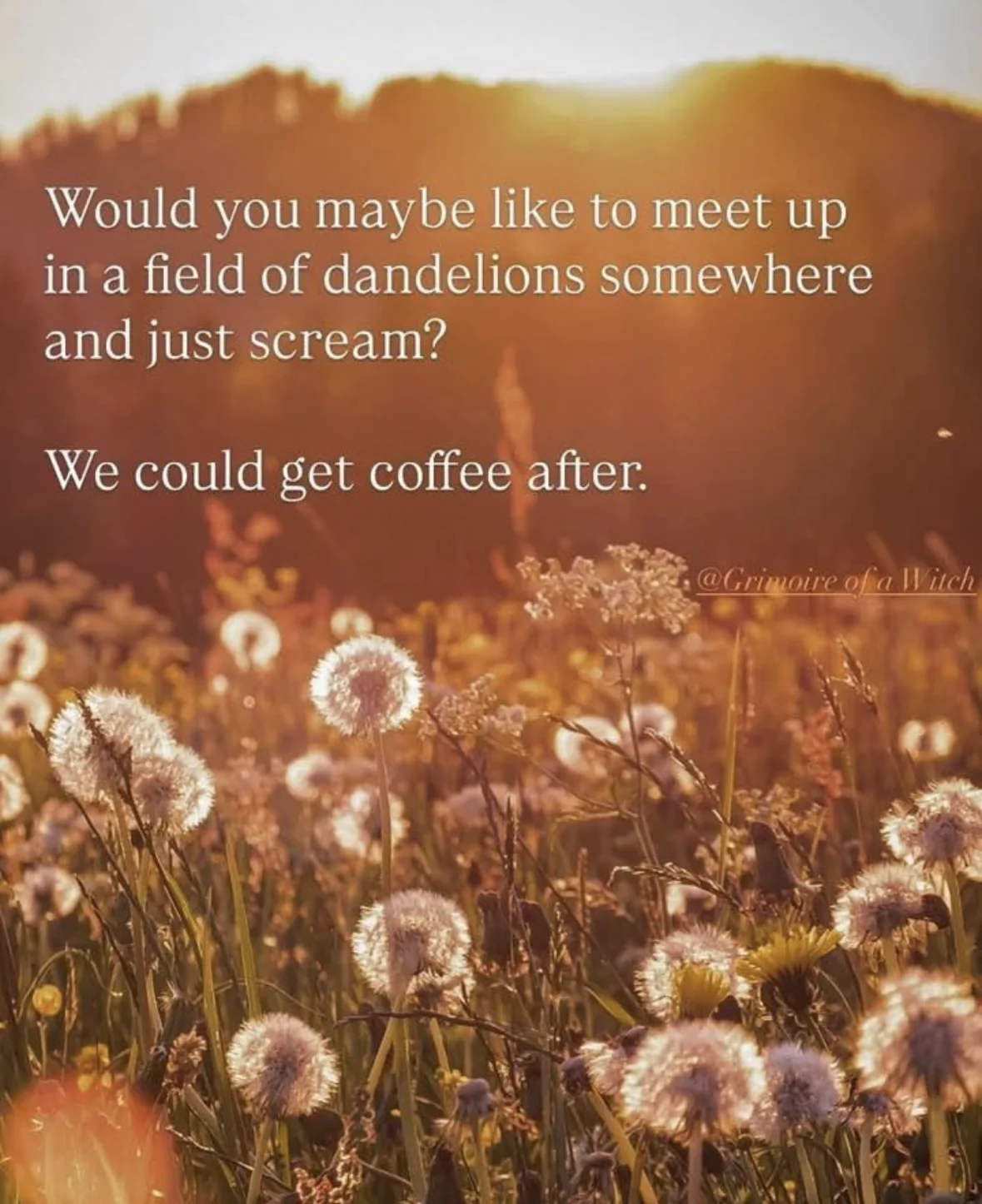Lol, this is basically my ideal date