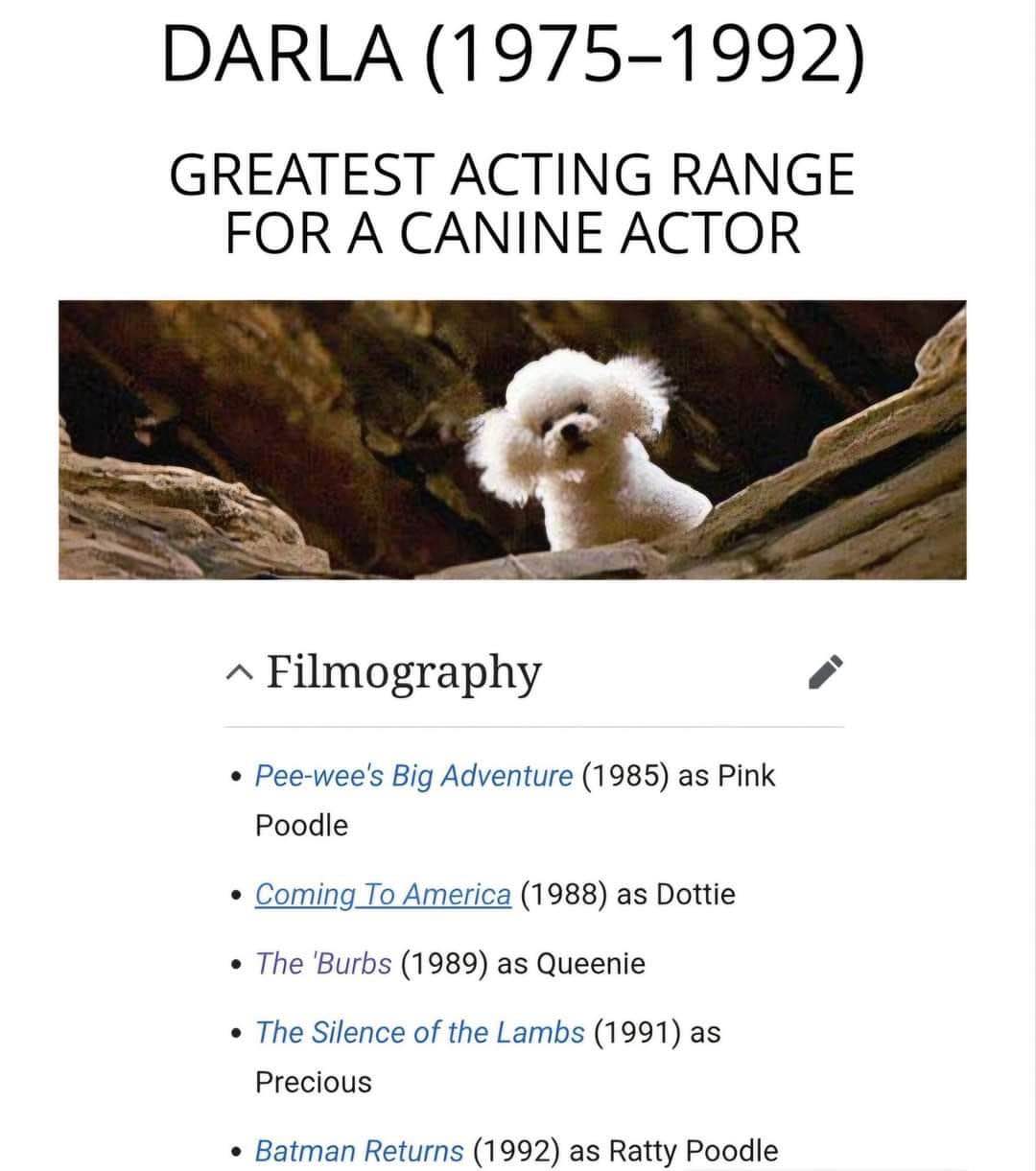 This doggo really out here with a better filmography than most actors