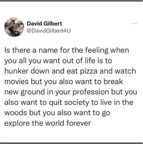 Me trying to decide if I want to be a hermit, a CEO, or an explorer