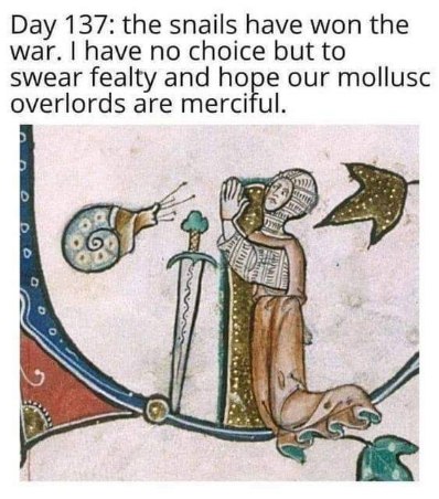 When you finally surrender to the snails after a long war and just hope they don't get weird about it